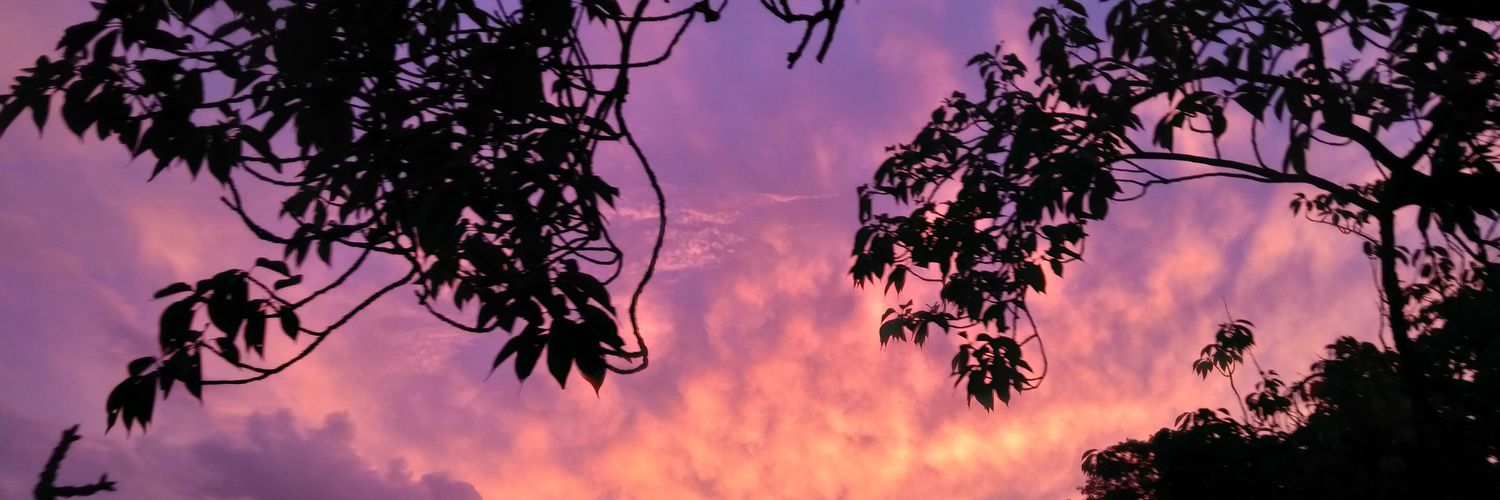 Lenja21's profile banner image