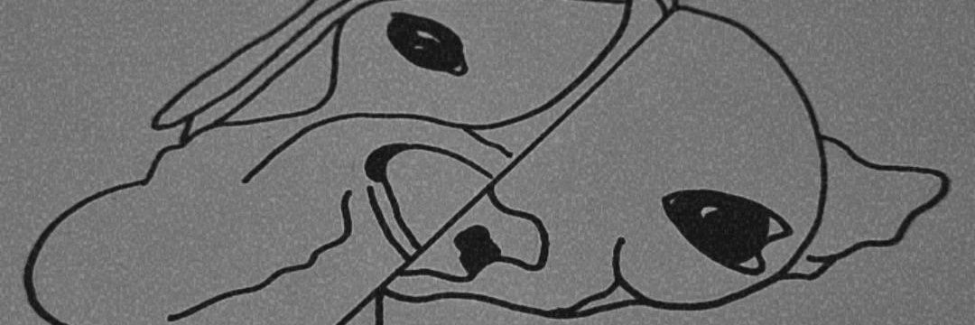 DoBlanquet's profile banner image
