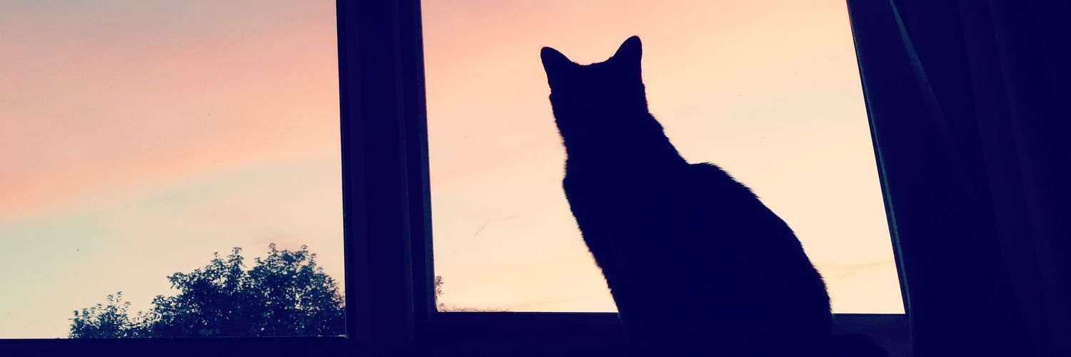 sa_bear82's profile banner image