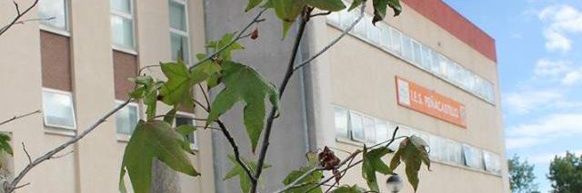 IES Peñacastillo - Ciclos Formativos banner