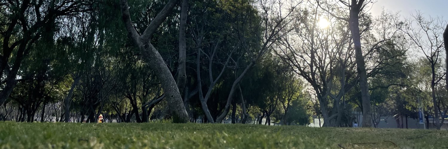 alegara0's profile banner image