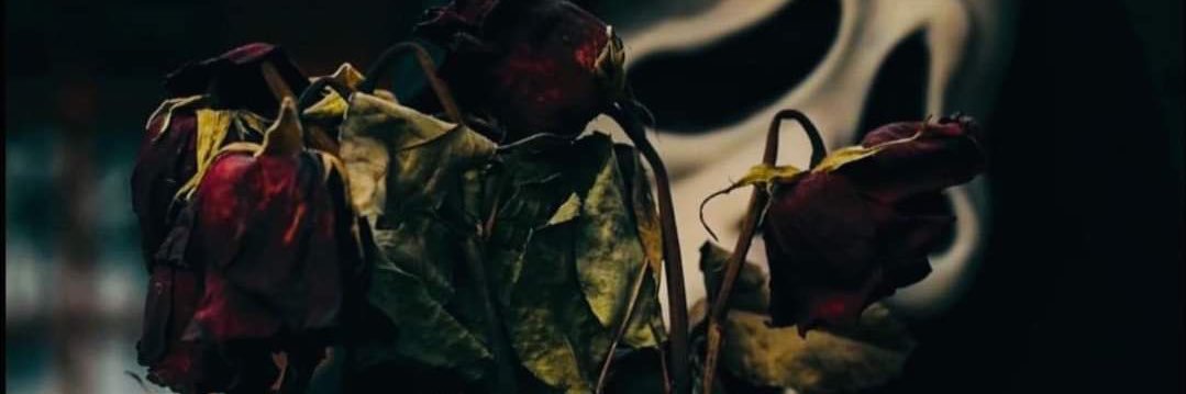 kvtthy's profile banner image