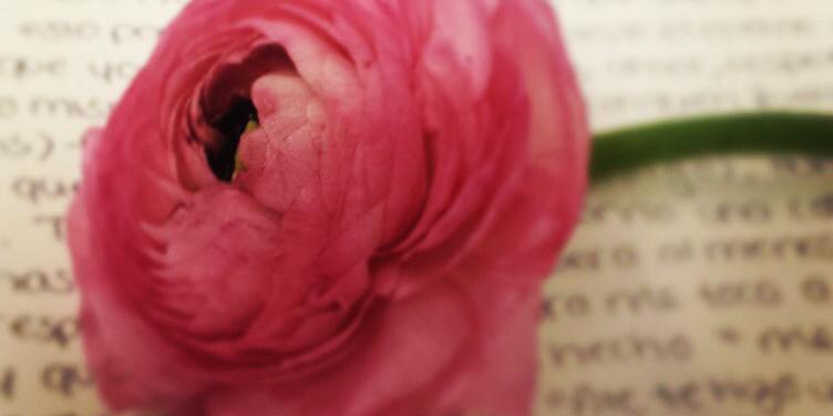 Beauty is her name banner