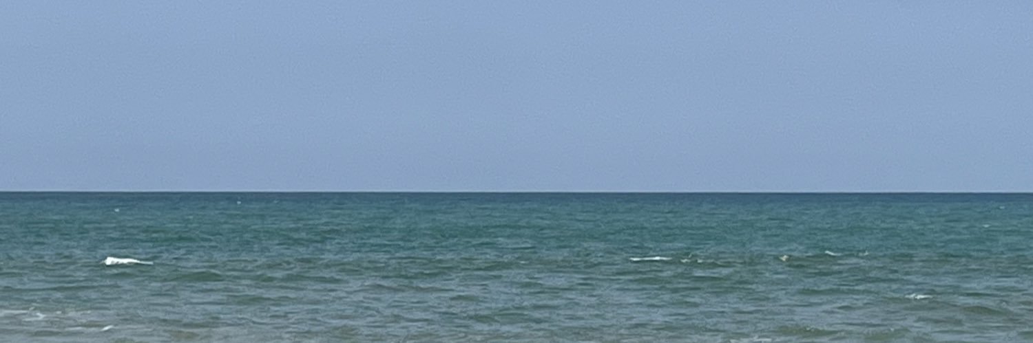 perufds's profile banner image