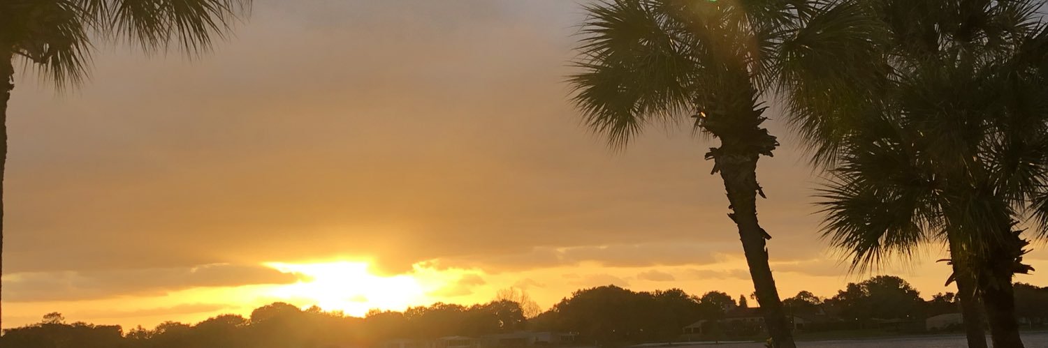 liltyaaa214's profile banner image