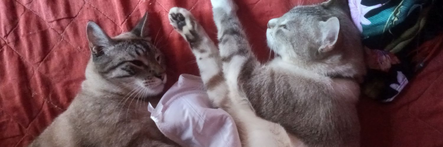 AyeeAlarcoon's profile banner image