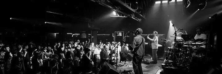 Cosmic Dust Bunnies banner