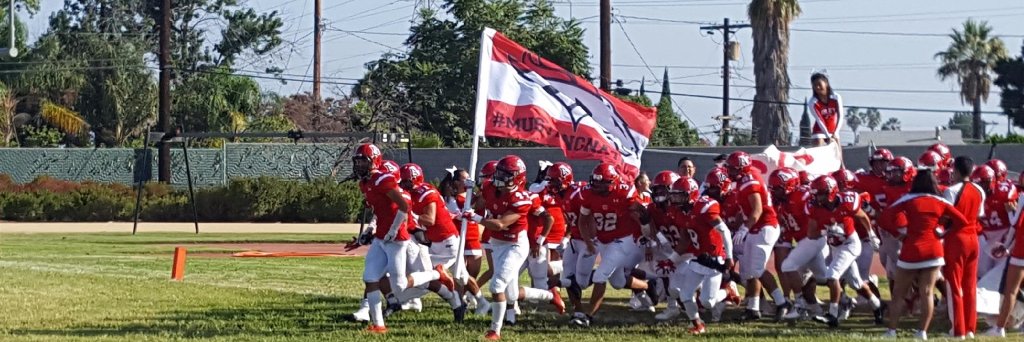 Mustang Athletics banner