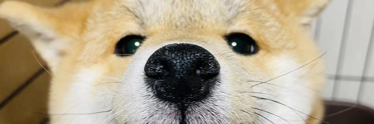 edwerd521's profile banner image