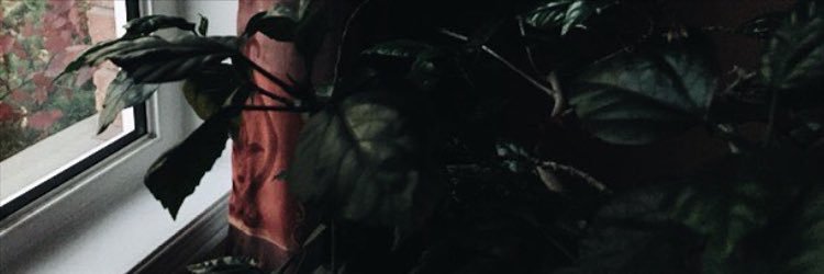 HypedAbe's profile banner image