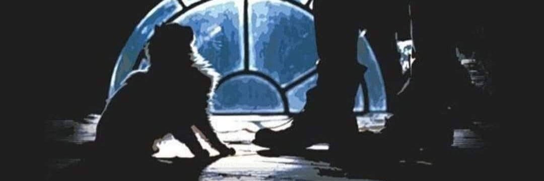 Erik Draven 🌹💪🤘🇨🇴🏴󠁧󠁢󠁳󠁣󠁴󠁿🇵🇸 banner