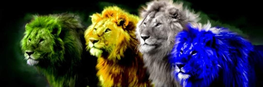 danielcabral21's profile banner image