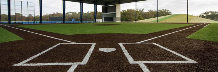 Echevarria Catching Academy banner