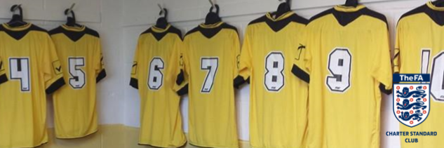 BGIlleyFC's profile banner image
