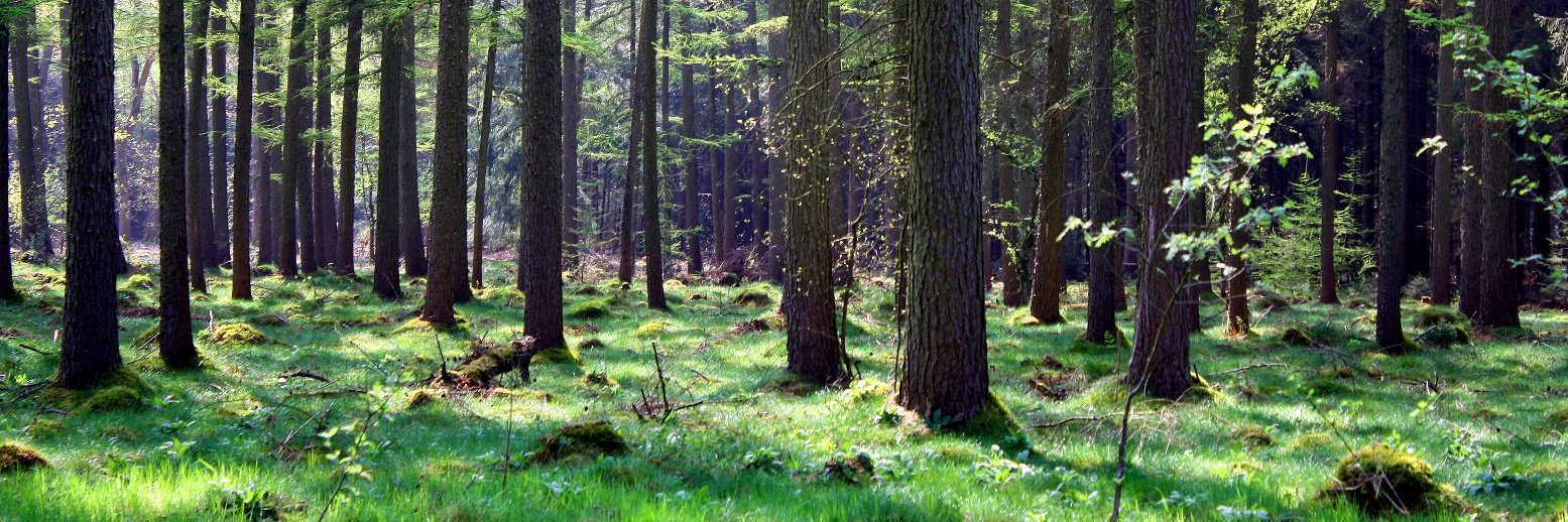 inhetlandschap.nl banner
