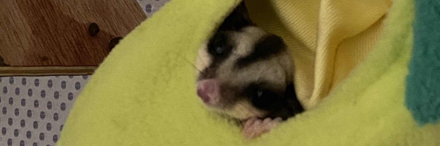 マッチ@デリカ d5 banner