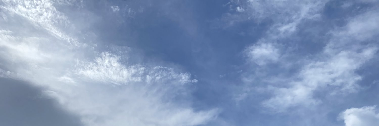 DaAnimal_'s profile banner image
