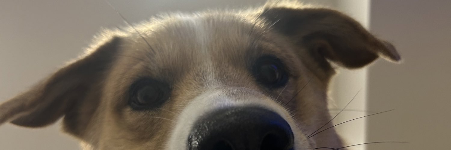 paigeriles's profile banner image