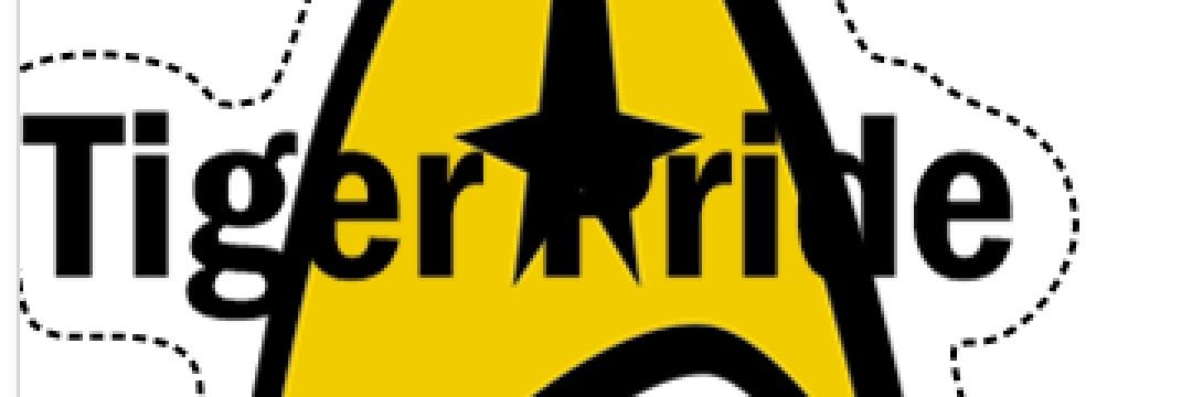 SStarkovich's profile banner image