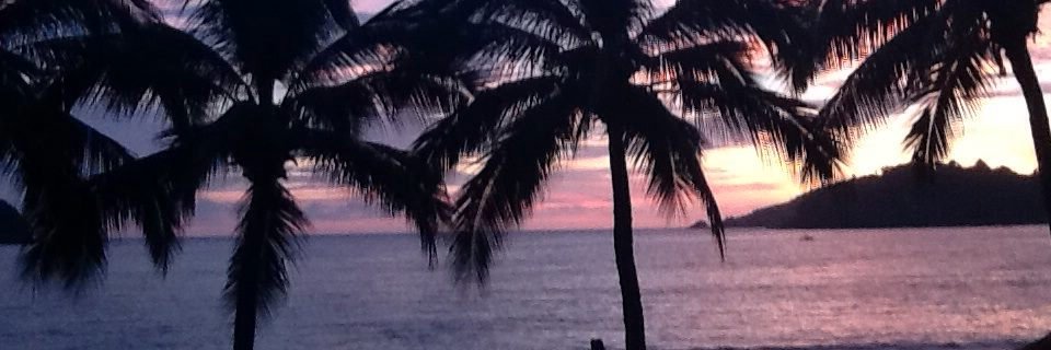 ShirleyAHilton's profile banner image