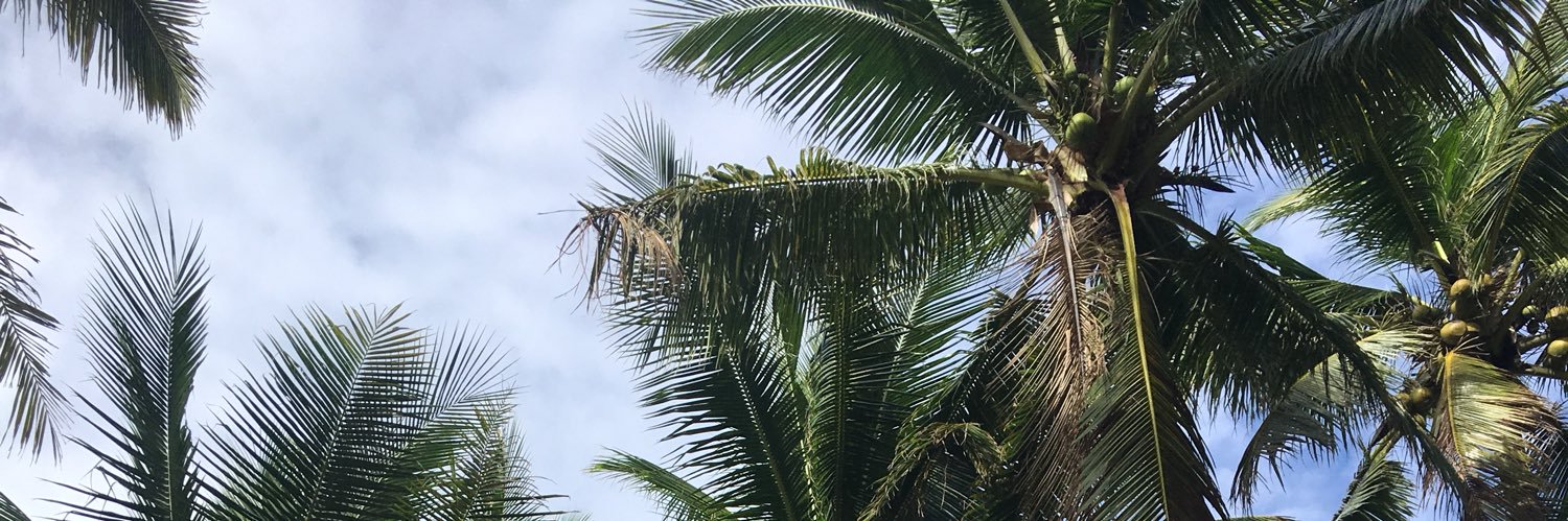 prunkykewl's profile banner image