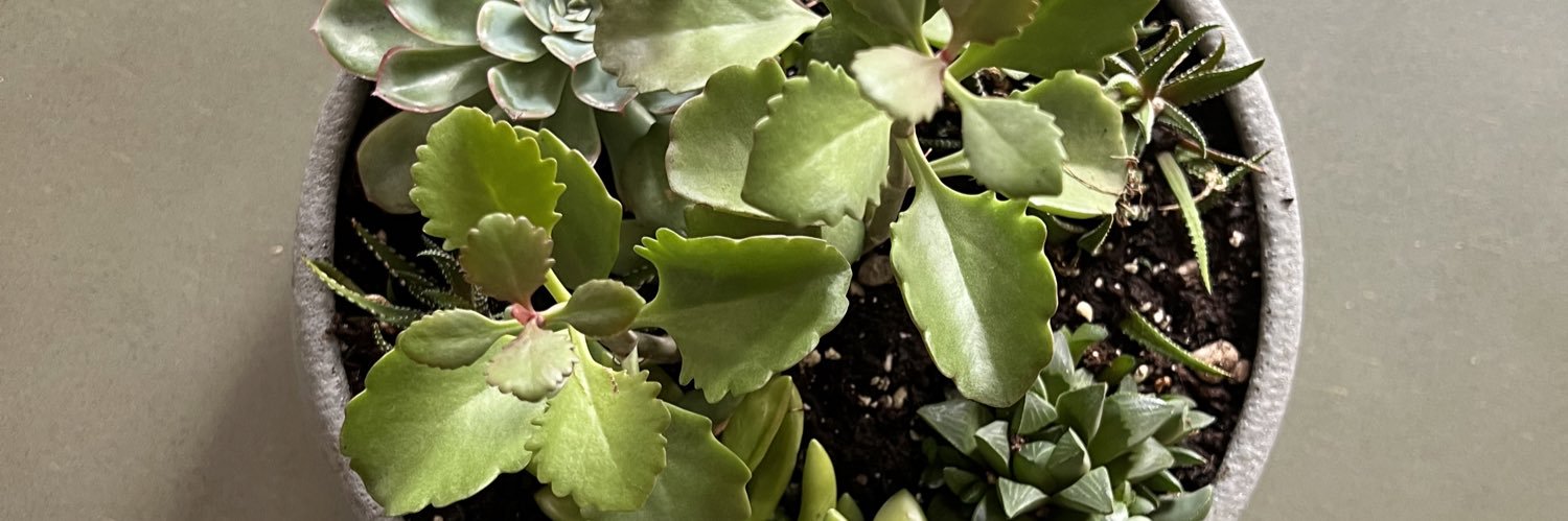 PaulaResley's profile banner image