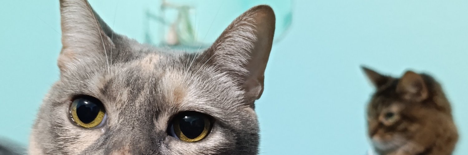TereValencia_'s profile banner image