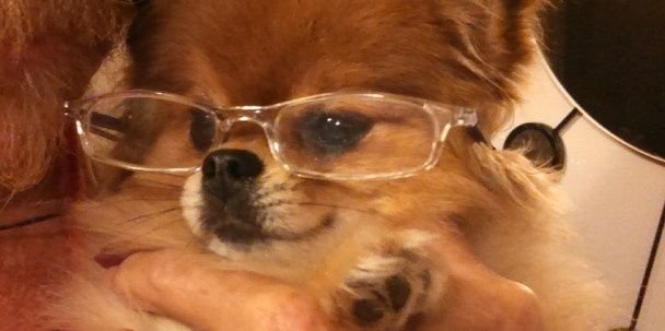 hay_socray's profile banner image