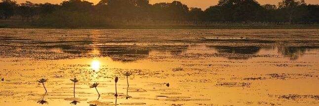 Moussa traore banner