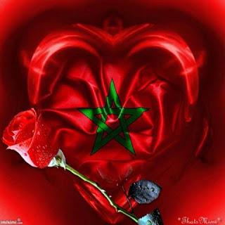 zainabhamdan's profile banner image