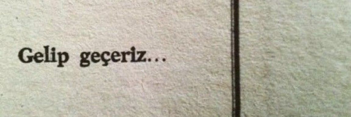 Zeynpalt's profile banner image