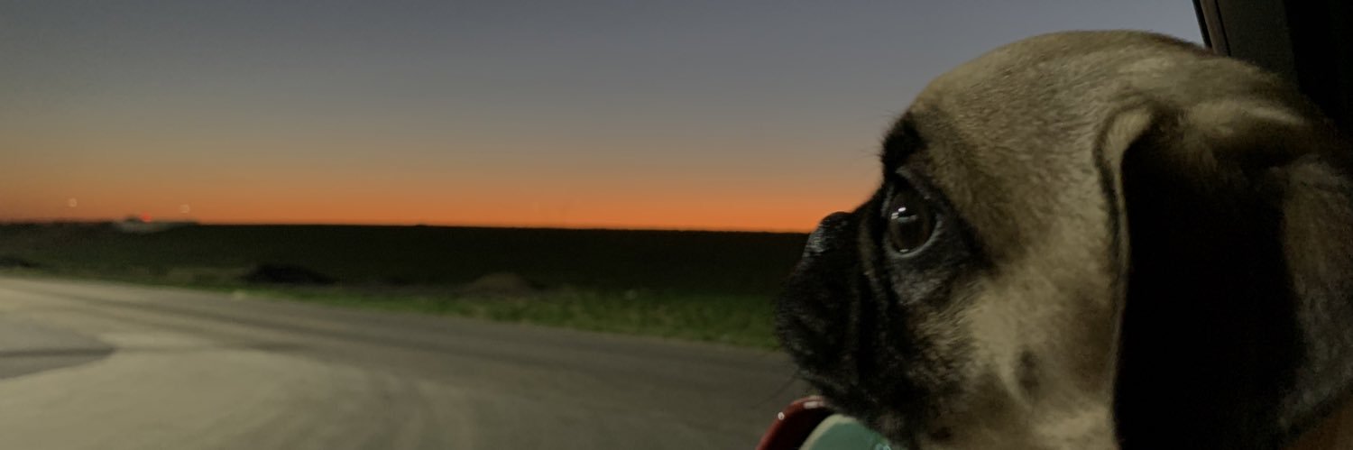 rubyalejandravs's profile banner image