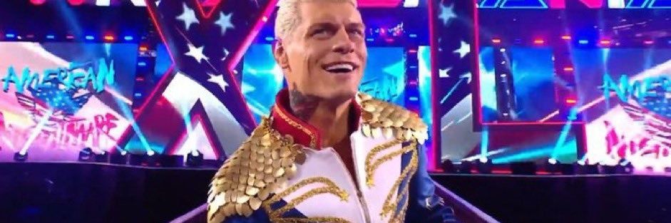 Vanessa Walilko banner