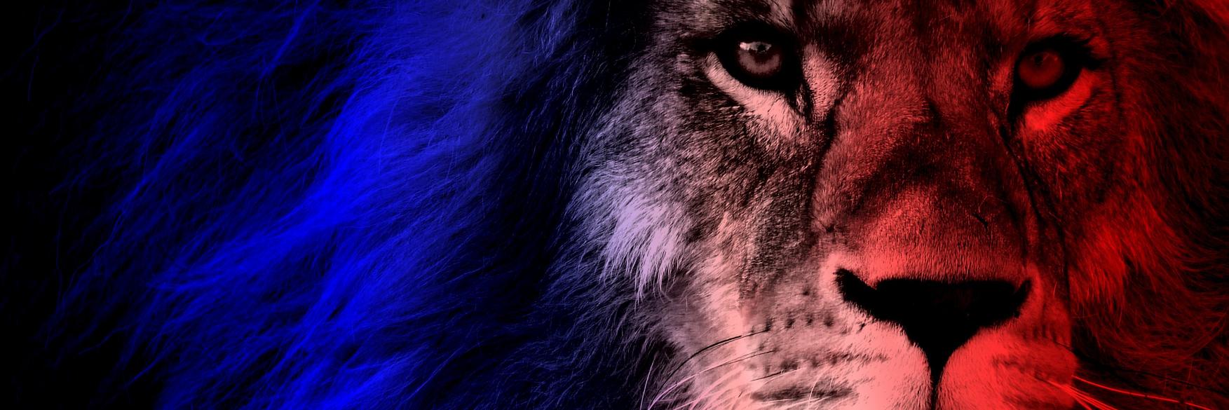 MyloSmee's profile banner image