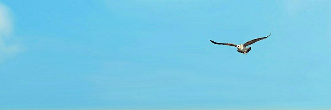3li000's profile banner image