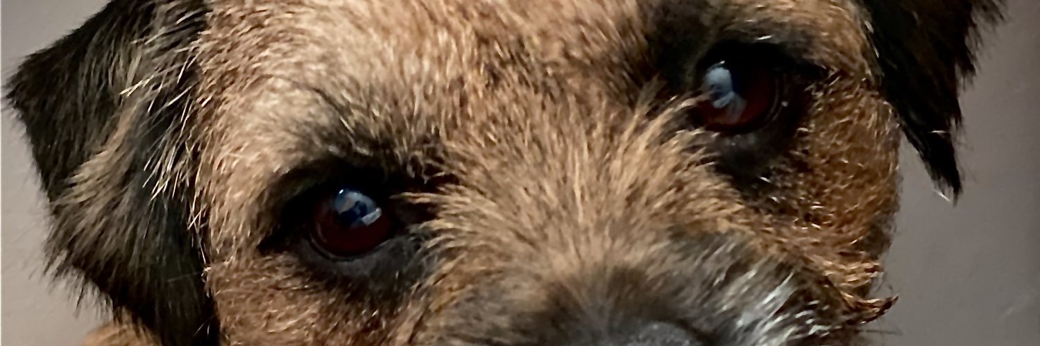 frostyfraser's profile banner image