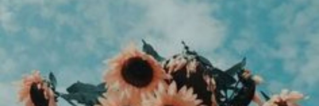 natcorrg's profile banner image