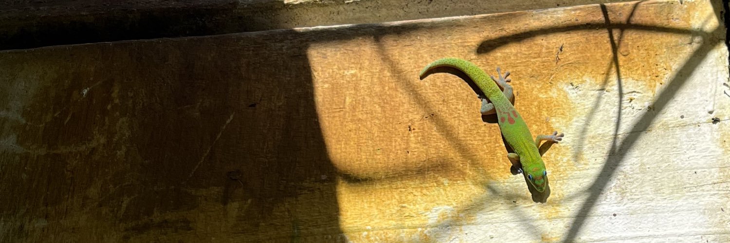 Deaconromano's profile banner image