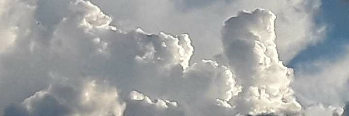 williamletsus's profile banner image
