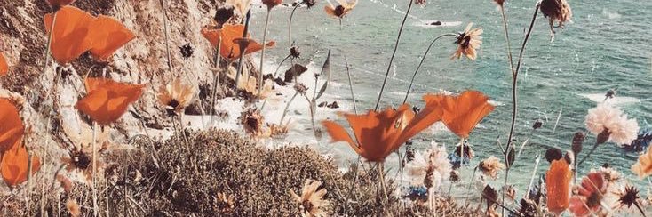 Lilly_major's profile banner image