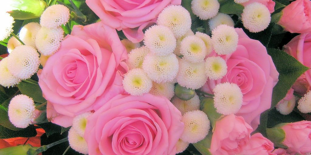 KellyRoshana's profile banner image