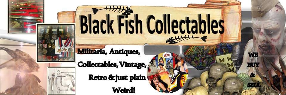 BlackFishColl's profile banner image