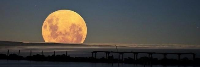 laura8673's profile banner image