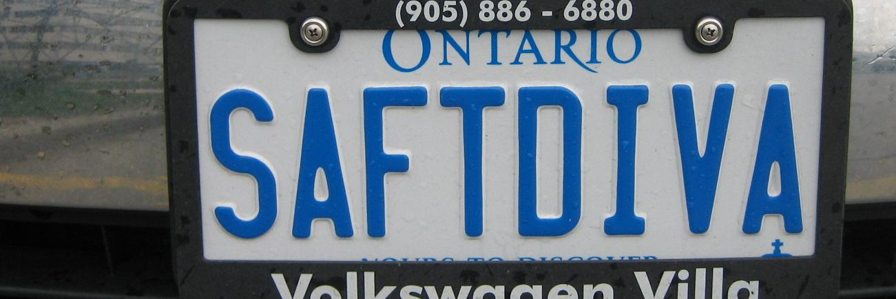 LeeAnne Lyon-Bartley banner