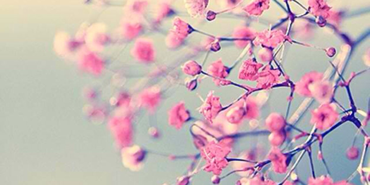 Mieldeabejaa's profile banner image