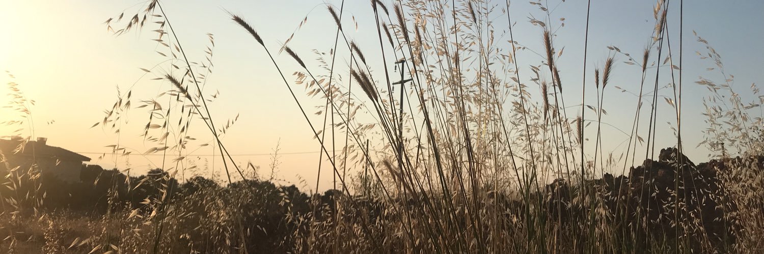 pltcnn's profile banner image