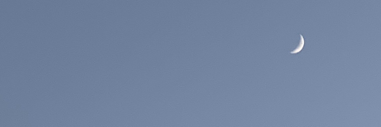 ncityscafe's profile banner image