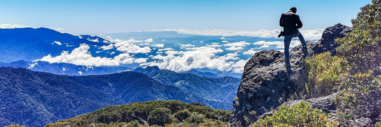 BirdExpeditions's profile banner image