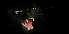 marialvarez224's profile banner image