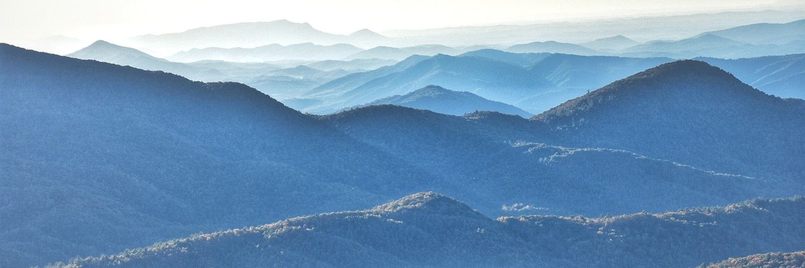 Brooke Killey banner